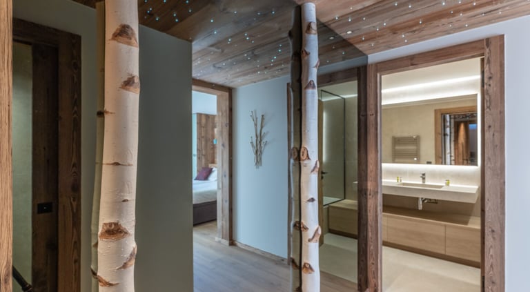 Chalet Altaïs — vue 25
